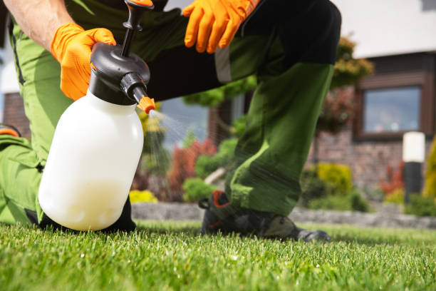 Best Spider Control Near Me  in Garfield, TX