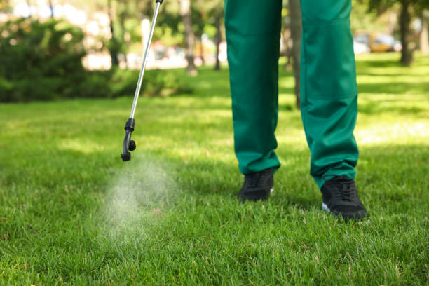 Best Flea Control Services  in Garfield, TX