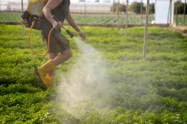 Best Mosquito Control Services  in Garfield, TX