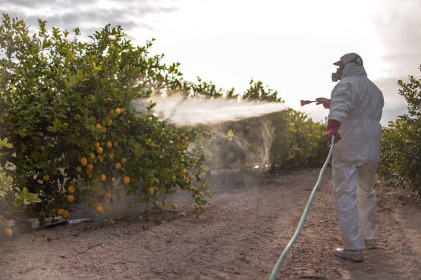 Best Rat Extermination Near Me  in Garfield, TX