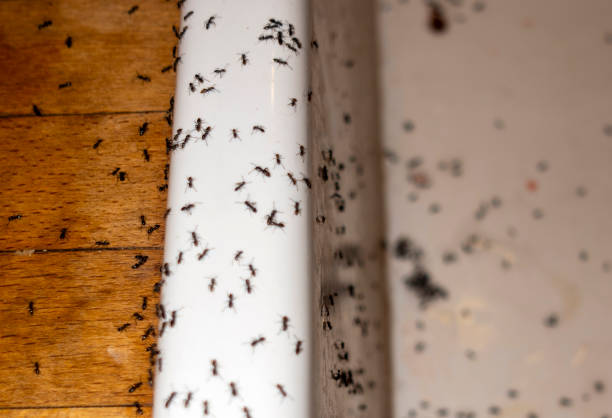 Best Wildlife Control Services  in Garfield, TX