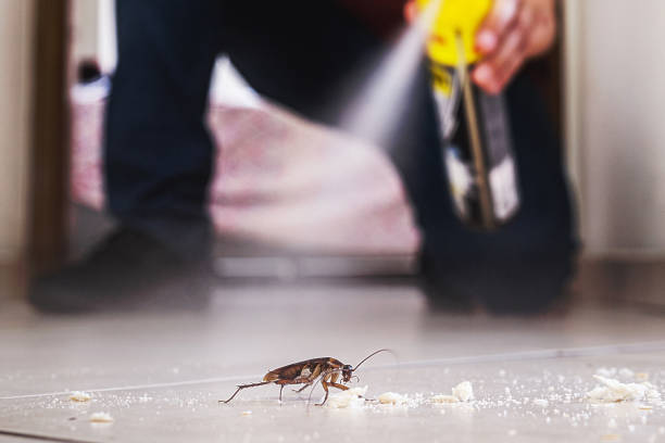 Best Rodent Control Near Me  in Garfield, TX